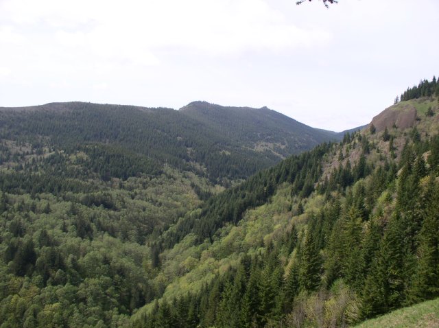 4.30.06 Hamilton Mountain 051 